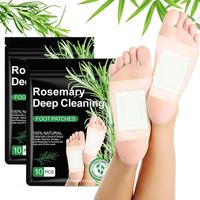 🌿 GingerBamboo Herbal Foot Detox Patches | Stress Relief & Wellness Therapy